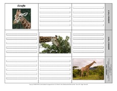 Leporello-Giraffe-2-1-2.pdf